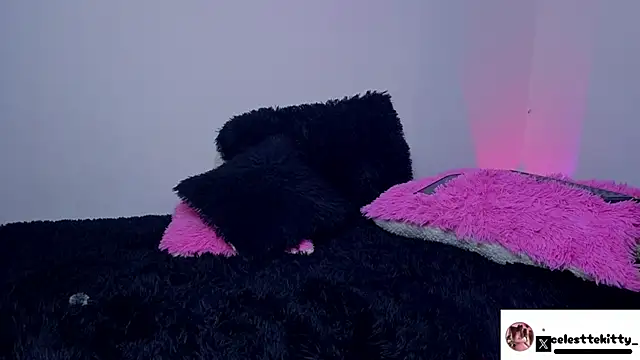 celestte evans 1 online show from 03/16/26, 03:45