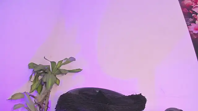 Lucy shen  online show from 01/10/26, 12:01