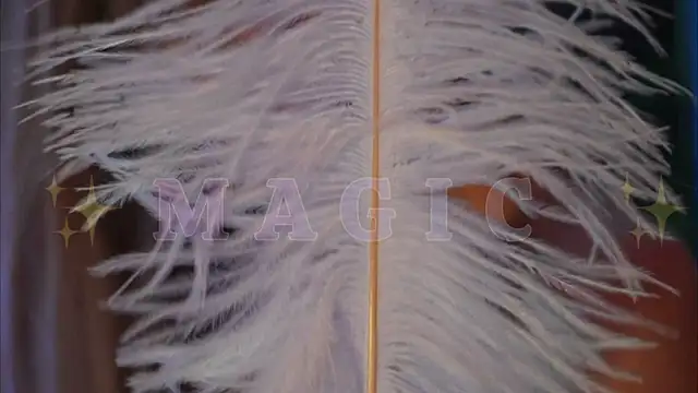 Alvuwkaa online show from 01/10/26, 09:44