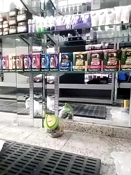 Katyuskka love online show from 11/25/25, 04:51