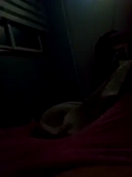 Snapshot of Pillate069 chatting on 03/02/26, 06:03 Pillate069 online show from 03/02/26, 06:03