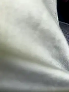 Snapshot of Zoro404040 chatting on 09/16/25, 08:48 Zoro404040 online show from 09/16/25, 08:48