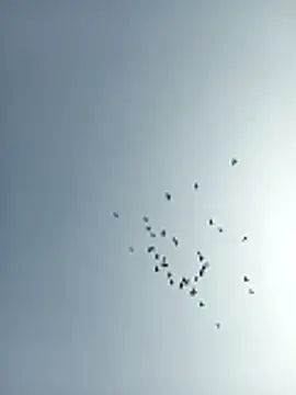 amitkumarkangra online show from 12/19/25, 06:53