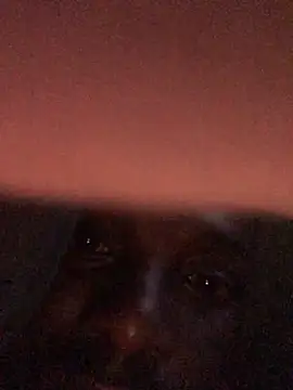 cuminsidebby online show from 04/17/26, 04:15