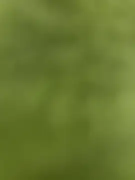 youyou933 online show from 09/12/25, 05:57