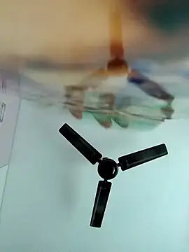 chaitanyaniharika online show from 12/20/25, 02:29