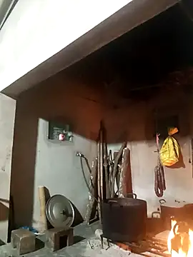 Phuongphuongg online show from 12/14/25, 11:09