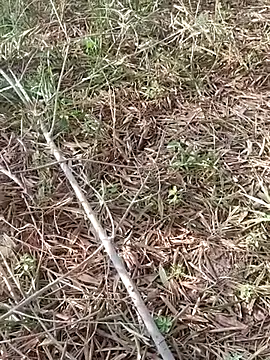 sonotutto online show from 10/11/25, 08:02