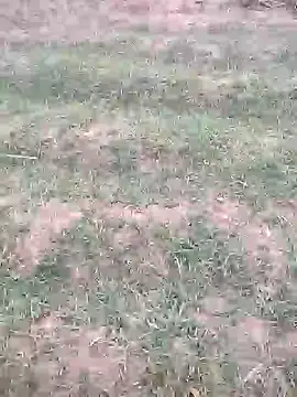 sonotutto online show from 10/12/25, 05:56