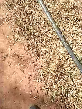 sonotutto online show from 10/13/25, 10:26