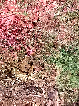 sonotutto online show from 10/15/25, 08:36