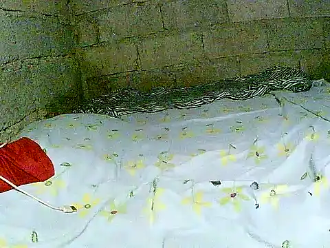 hotmom pinay online show from 12/01/25, 02:05