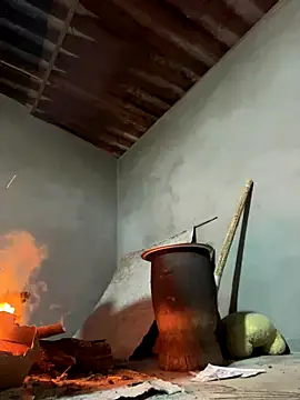 Sunny lotus online show from 12/15/25, 12:09