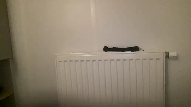 peterpapiNL online show from 01/13/26, 04:34