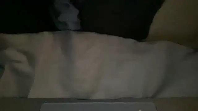 Snapshot of peterpapiNL chatting on 03/04/26, 07:31 peterpapiNL online show from 03/04/26, 07:31