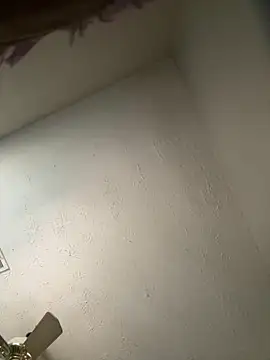 honestlychina online show from 10/03/25, 01:52