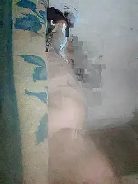 fdggdddd online show from 03/19/26, 11:42