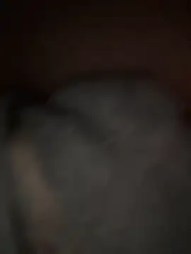 sunset24 online show from 03/29/26, 12:54