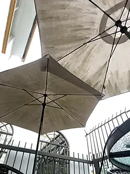 Sallem Pink online show from 03/31/26, 11:10