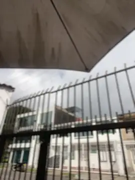 Sallem Pink online show from 04/01/26, 01:41