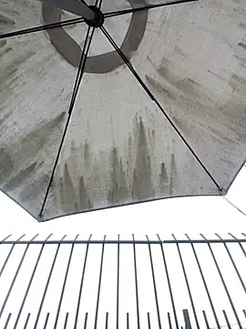 Sallem Pink online show from 04/22/26, 11:12