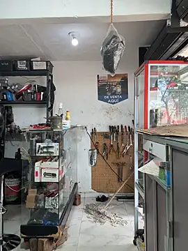 Terra-22cm online show from 10/25/25, 03:07