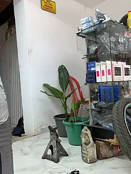 Terra-22cm online show from 04/19/26, 06:10