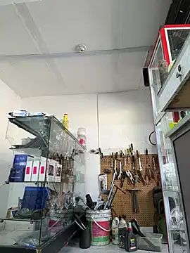 Terra-22cm online show from 04/22/26, 01:23