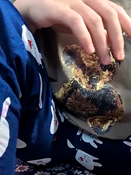 sasud2 online show from 11/03/25, 02:02