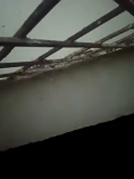 Snapshot of Daisygirl9 chatting on 10/22/25, 09:36 Daisygirl9 online show from 10/22/25, 09:36