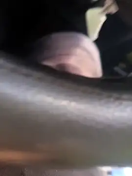 Frank0021 online show from 11/04/25, 05:34