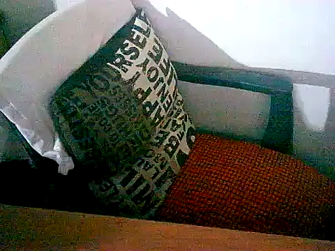 sacptjock83 online show from 12/17/25, 08:59