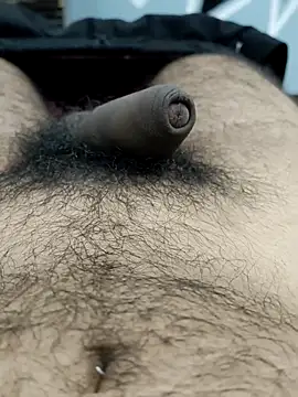 Bull54321 online show from 09/19/25, 04:47