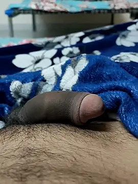 Bull54321 online show from 12/15/25, 04:33