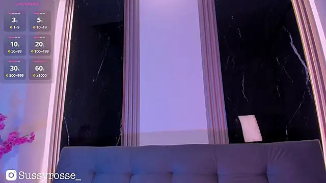 Snapshot of Sussyrosse_ chatting on 01/08/26, 12:13 Sussyrosse online show from 01/08/26, 12:13