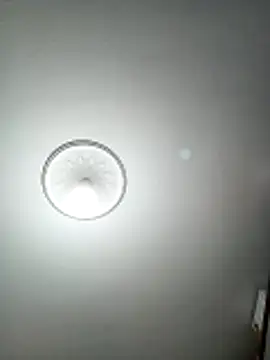 mert0359 online show from 04/24/26, 08:33