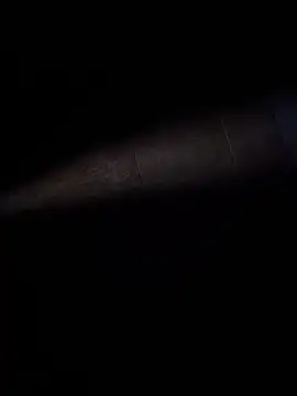 ratoncito 3 online show from 02/08/26, 02:37