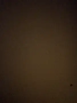 BigD1ckDan86 online show from 01/07/26, 06:38