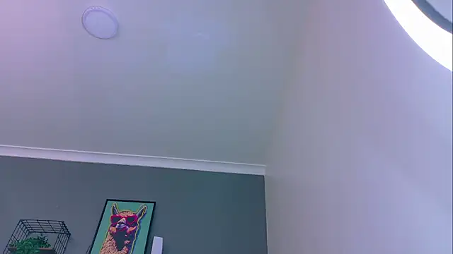 Snapshot of MrFox__ chatting on 05/16/26, 08:29 MrFox online show from 05/16/26, 08:29