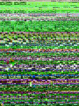 lynn9000 online show from 11/20/25, 05:18