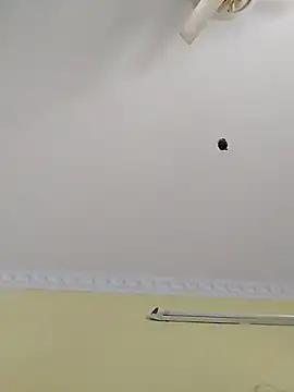 Monika Telugu Girl online show from 11/14/25, 08:13