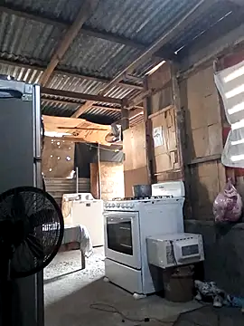 Snapshot of Steehood chatting on 11/20/25, 02:50 Steehood online show from 11/20/25, 02:50