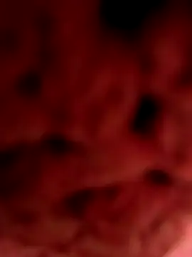 Gusttavotesudoxxvvc online show from 09/18/25, 07:16