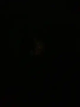 amitsharma7868 online show from 04/20/26, 04:10