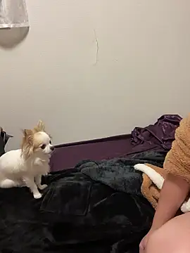 Snapshot of h415a812 chatting on 11/04/25, 07:35 h415a812 online show from 11/04/25, 07:35