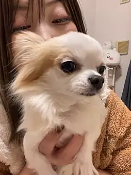 Snapshot of h415a812 chatting on 11/20/25, 01:55 h415a812 online show from 11/20/25, 01:55