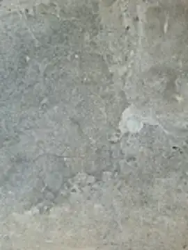 ngocngoc cute online show from 02/24/26, 02:20