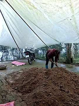 ngocngoc cute online show from 03/07/26, 02:41