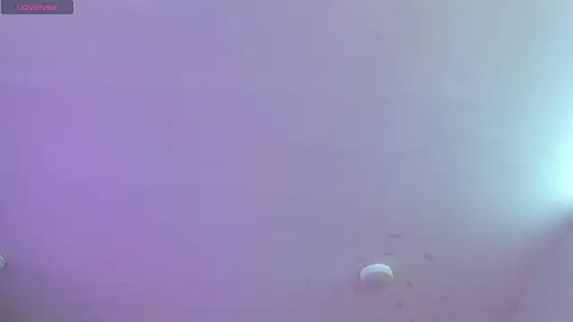 Foxxy Doll online show from 04/08/26, 04:51