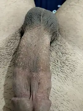 Snapshot of Zepe_12 chatting on 11/30/25, 11:31 Zepe 12 online show from 11/30/25, 11:31